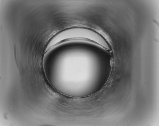 X0000096200009200802011310