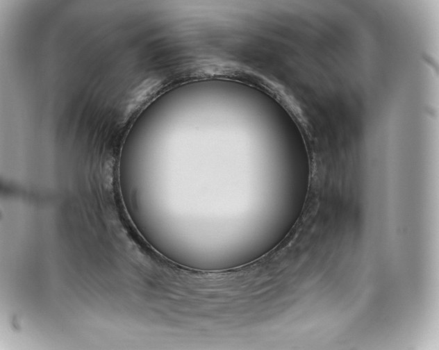 X0000096200010200802011310