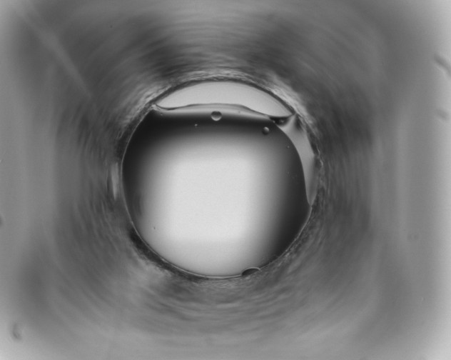 X0000096200013200802011310