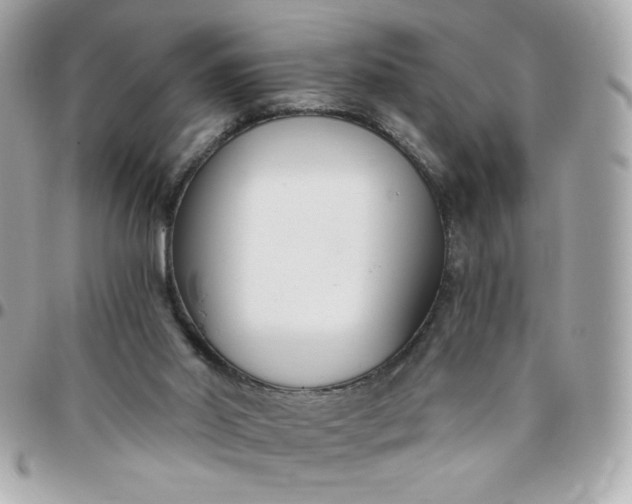 X0000096200014200802011310