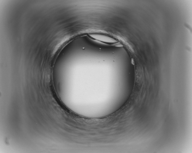 X0000096200015200802011310