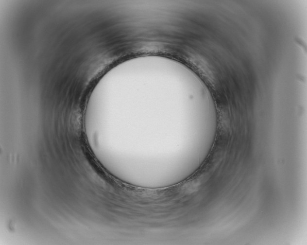 X0000096200016200802011310