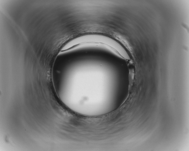 X0000096200017200802011310