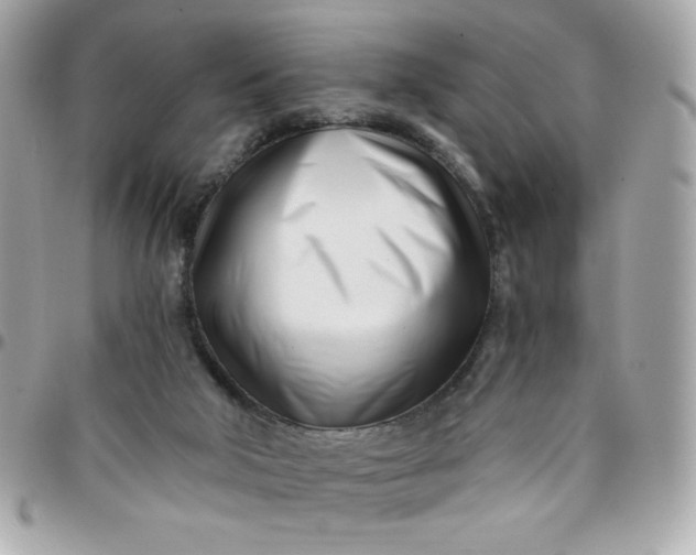 X0000096200018200802011310