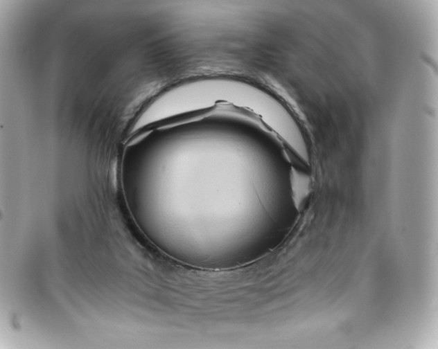 X0000096200019200802011310