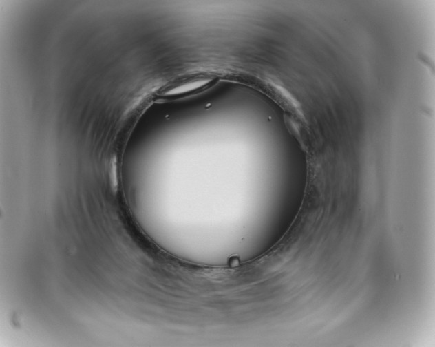 X0000096200020200802011310