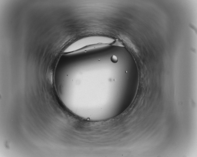 X0000096200021200802011310