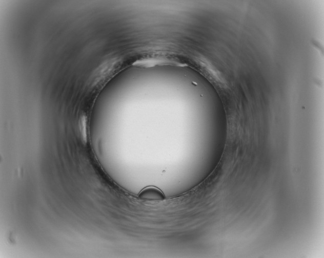 X0000096200022200802011310