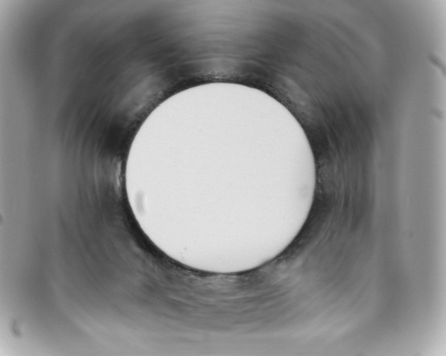 X0000096200024200802011310