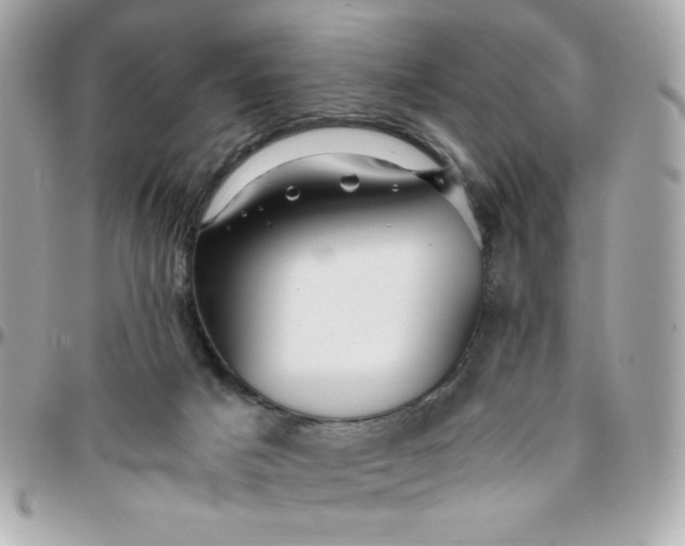 X0000096200025200802011310