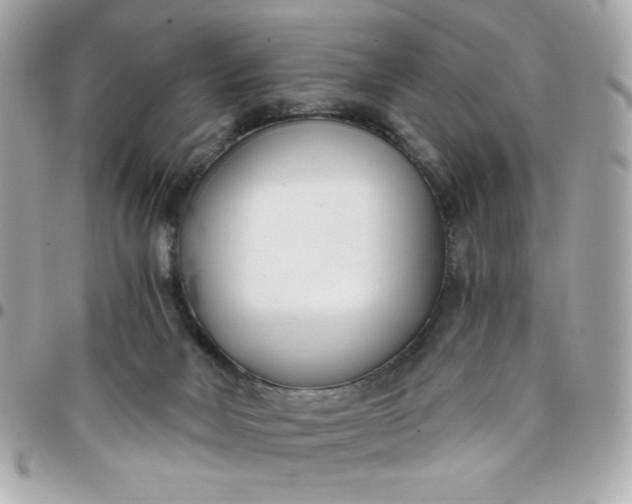 X0000096200026200802011309