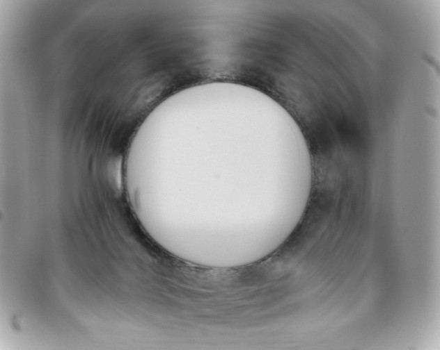 X0000096200028200802011309