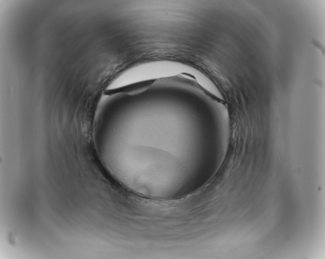 X0000096200031200802011309