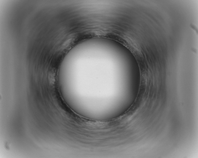 X0000096200032200802011309