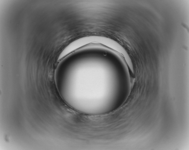 X0000096200033200802011309