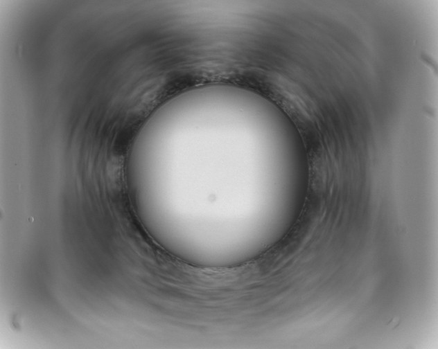 X0000096200034200802011309