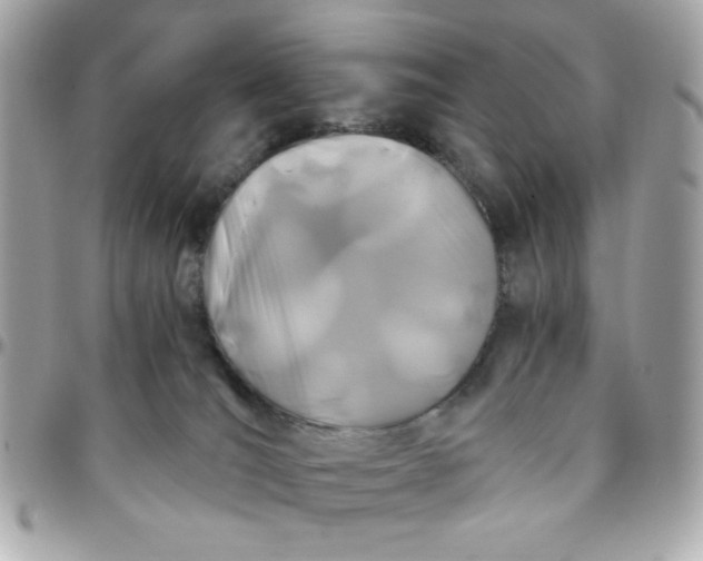 X0000096200036200802011309