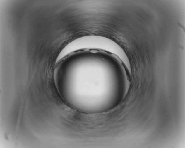 X0000096200037200802011309