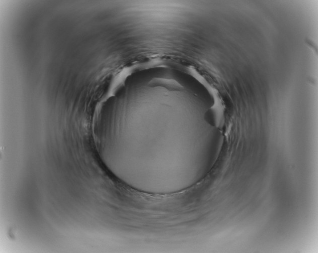 X0000096200039200802011309