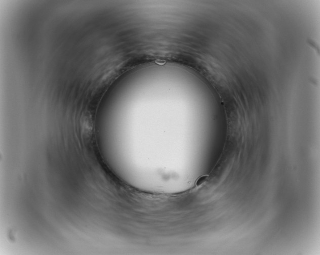 X0000096200040200802011309