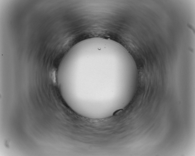 X0000096200042200802011309