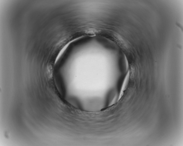 X0000096200043200802011309