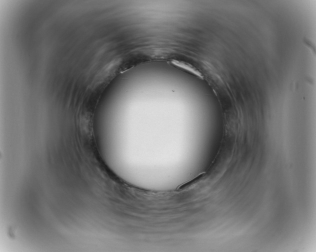 X0000096200044200802011309