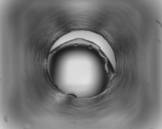 X0000096200045200802011309