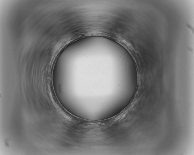 X0000096200049200802011309