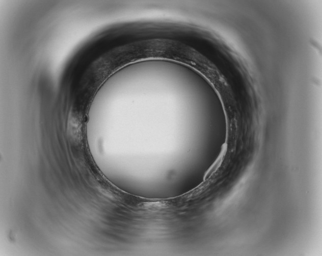 X0000096200050200802011309