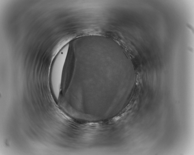 X0000096200052200802011309