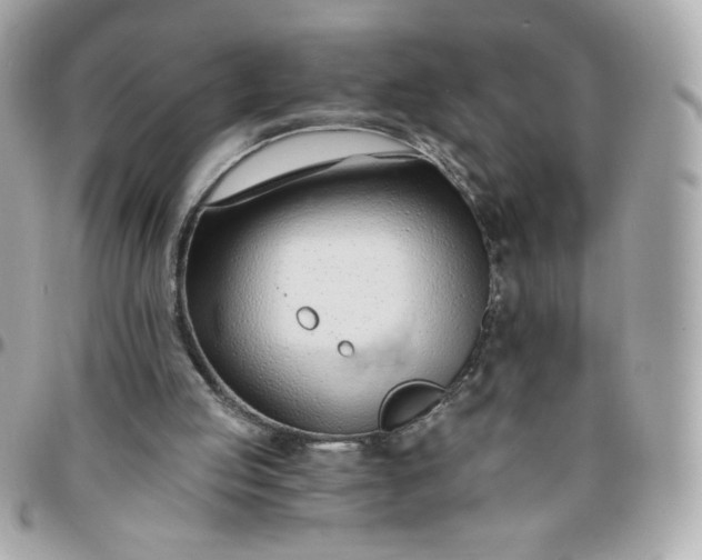 X0000096200053200802011309