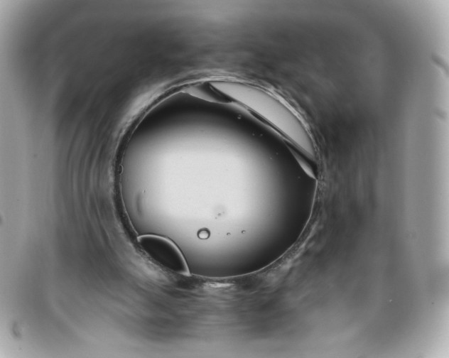 X0000096200055200802011309