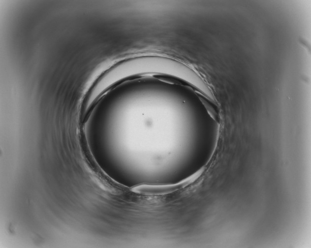 X0000096200056200802011309