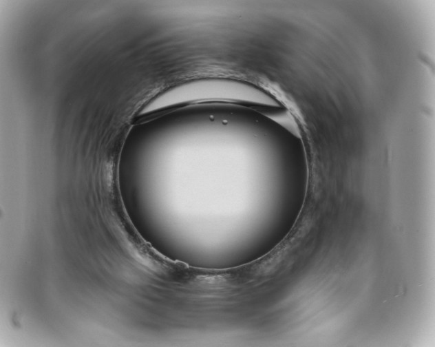 X0000096200057200802011309