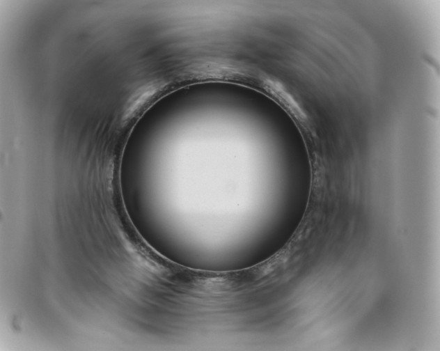 X0000096200058200802011309