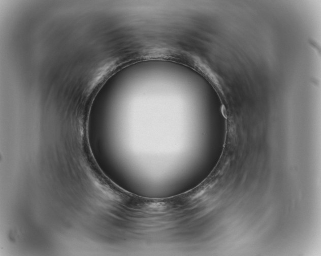 X0000096200059200802011309