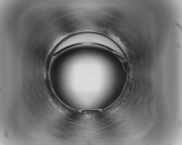 X0000096200060200802011309