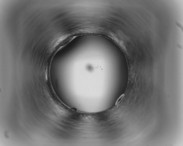 X0000096200062200802011309