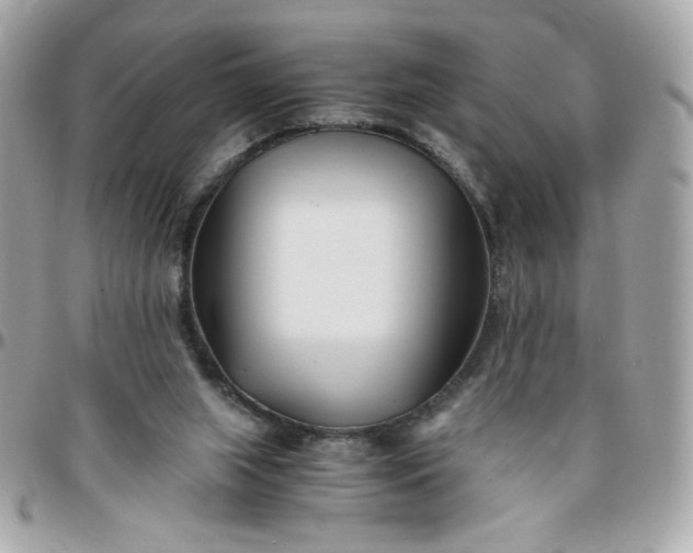 X0000096200063200802011309