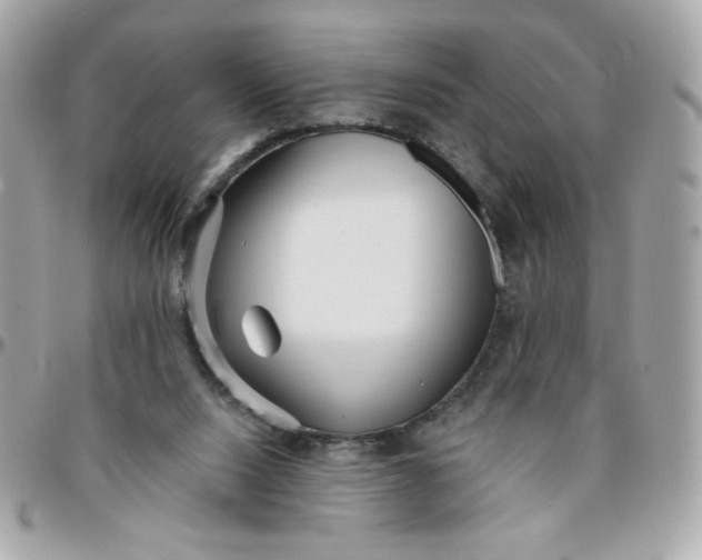 X0000096200064200802011309