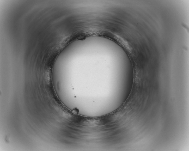 X0000096200065200802011309