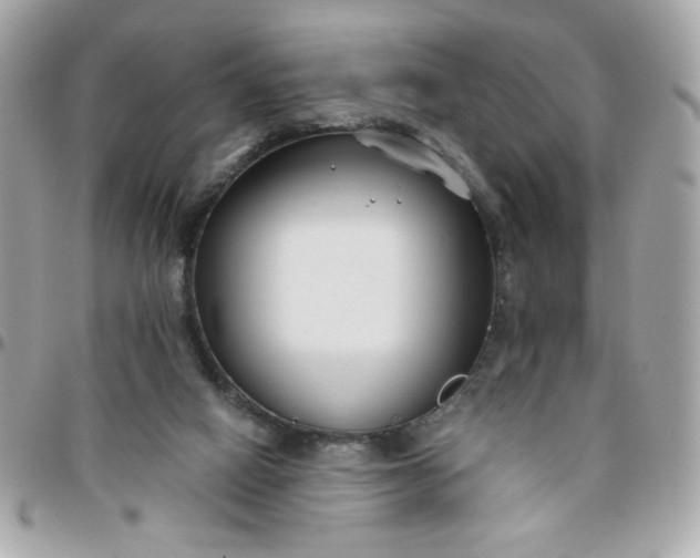 X0000096200066200802011309