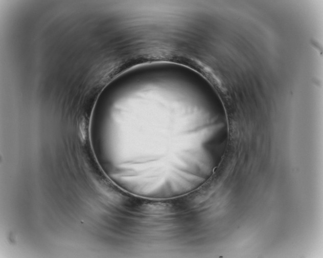 X0000096200069200802011309