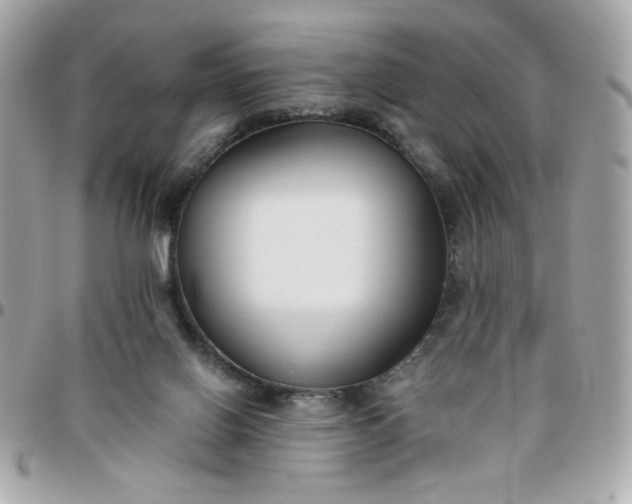 X0000096200070200802011309