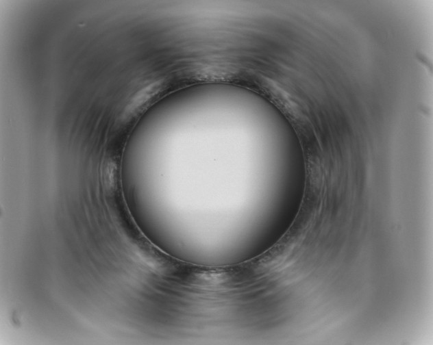 X0000096200071200802011309