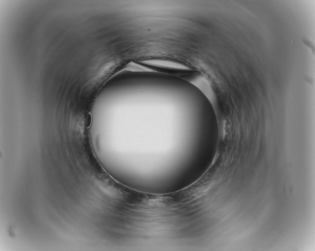 X0000096200072200802011309