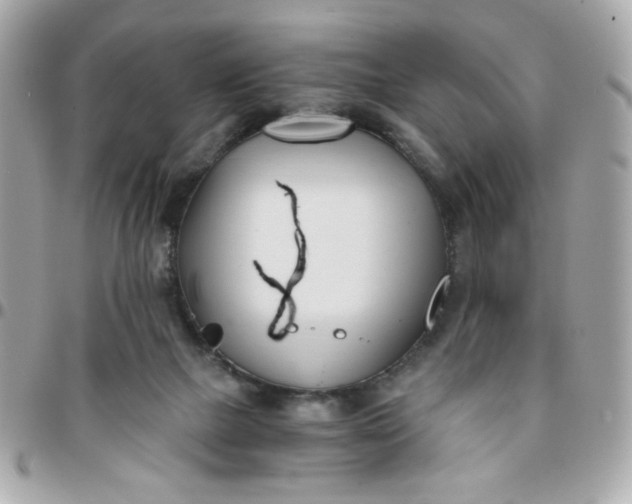 X0000096200073200802011309