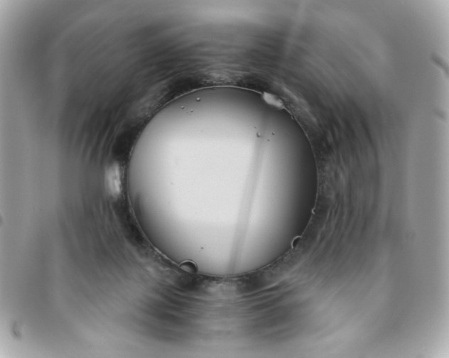 X0000096200075200802011309