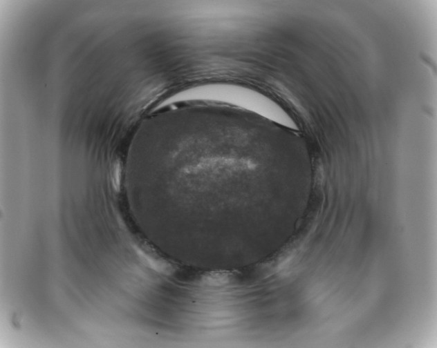 X0000096200076200802011309